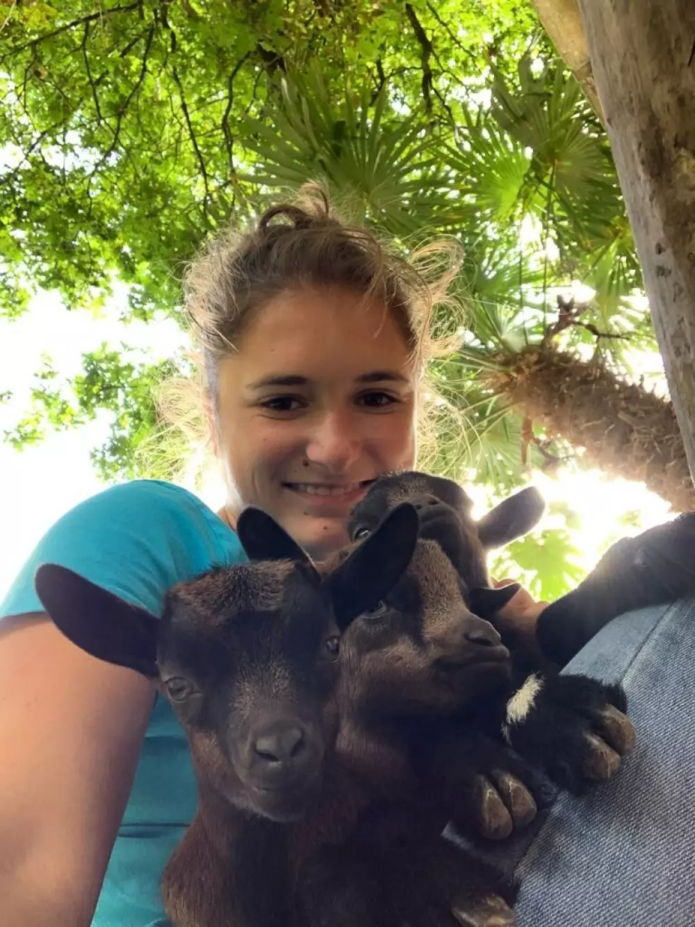 Camping Paradis La Bretonnière4 Estrellas★★★★