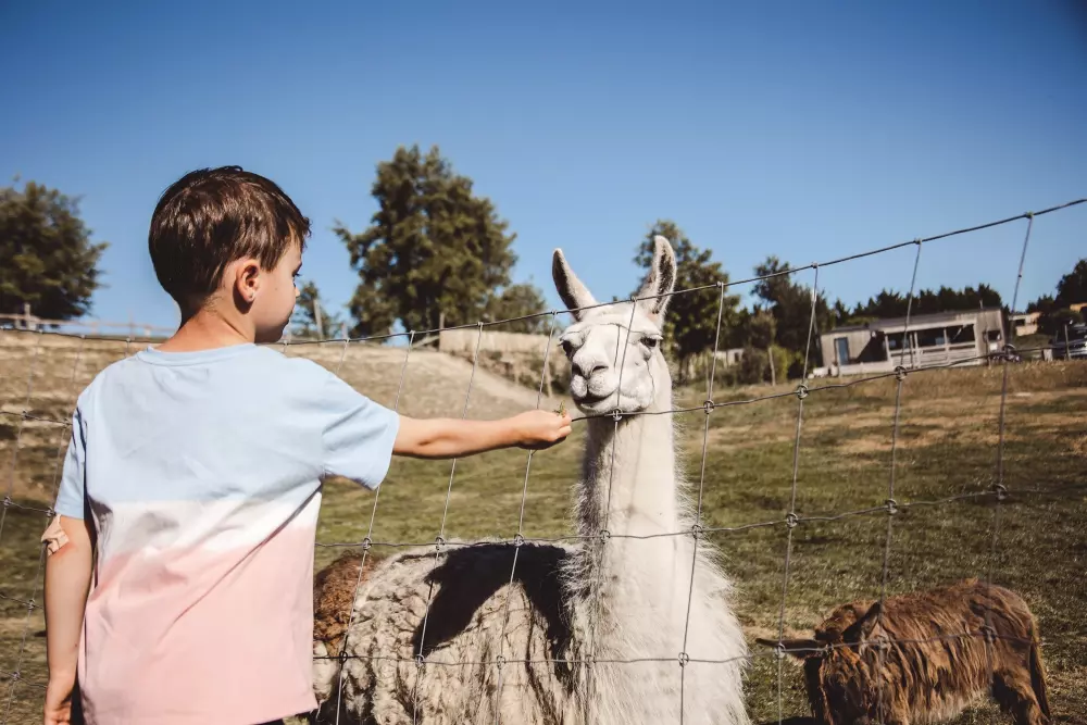 Village de la Guyonnière 5 Sterren★★★★★