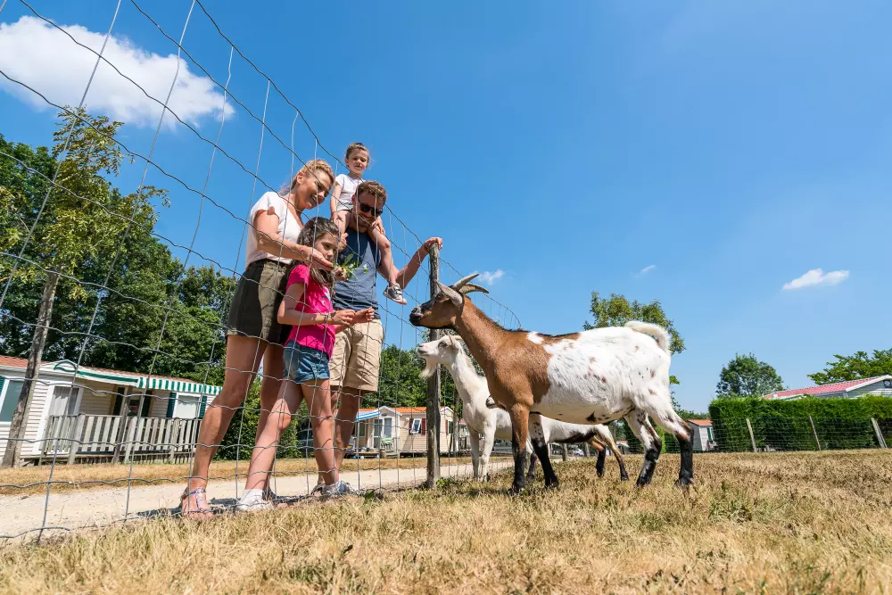 Village de la Guyonnière 5 Sterren★★★★★