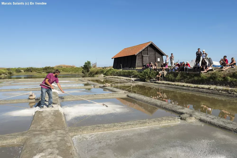 Village de la Guyonnière 5 Sterren★★★★★