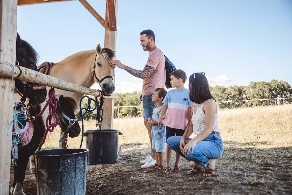 Village de la Guyonnière 5 Sterren★★★★★