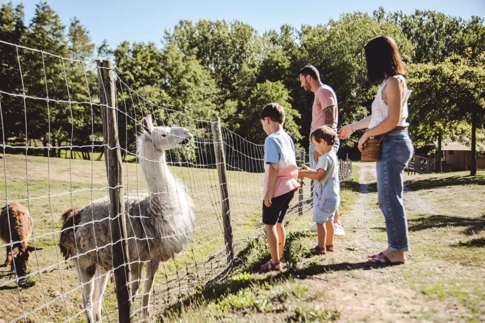 Village de la Guyonnière 5 Sterren★★★★★