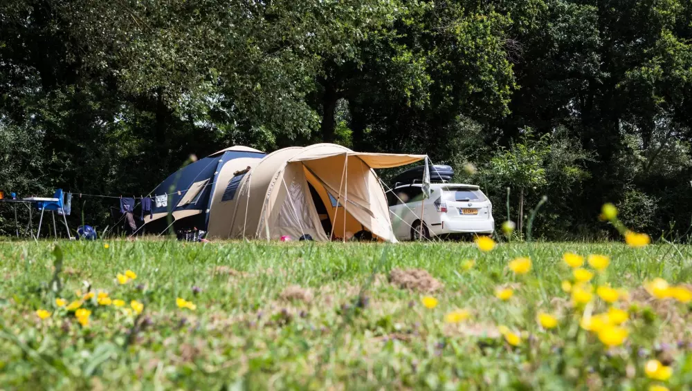 Village de la Guyonnière 5 Sterren★★★★★