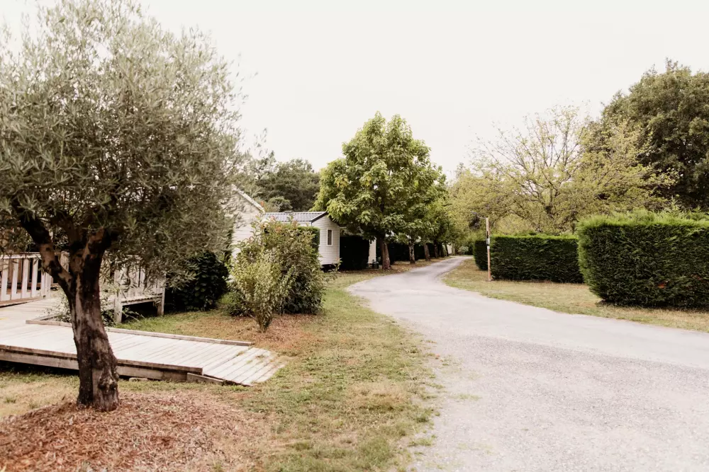 Camping Le Paradis4 Sterren★★★★