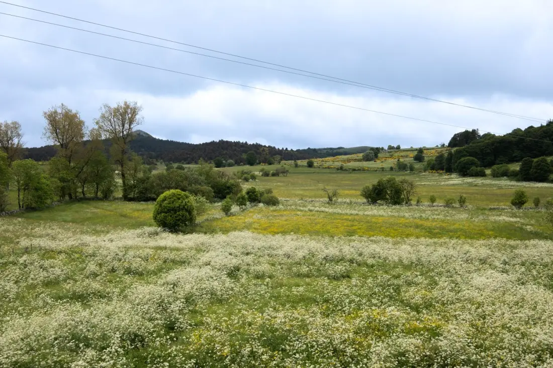 Gîte de France Gîtes de France de sinières 2 Ähren