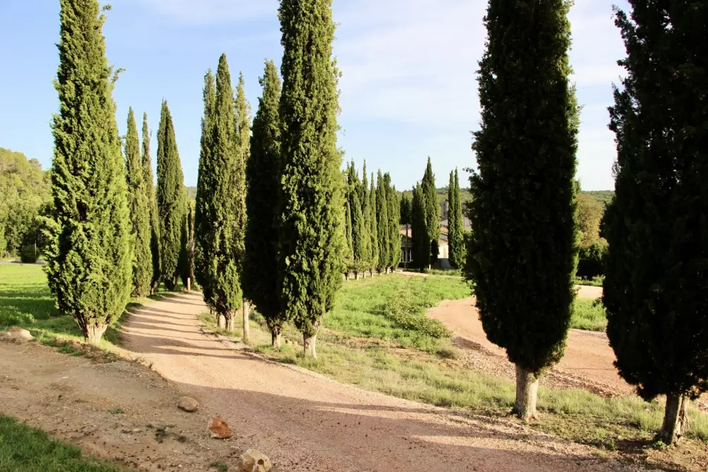 Campeggio maeva Respira Verdon Les Grands Domains