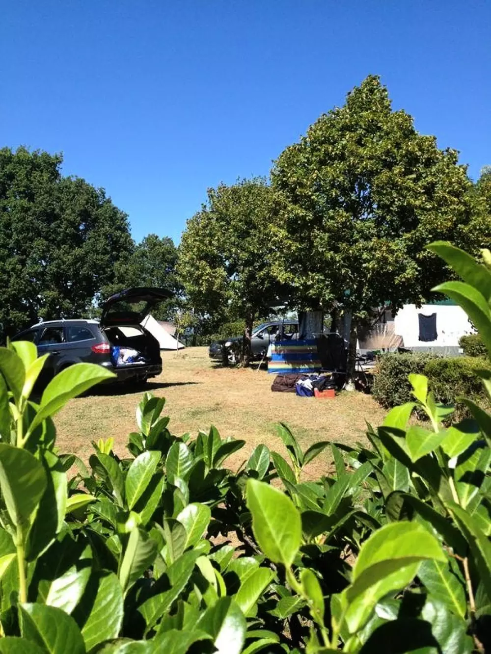 Camping Le Daguet 3 étoiles★★★