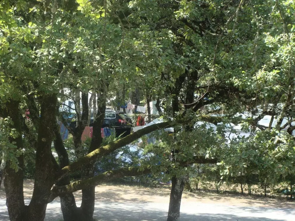 Camping Le Daguet 3 étoiles★★★
