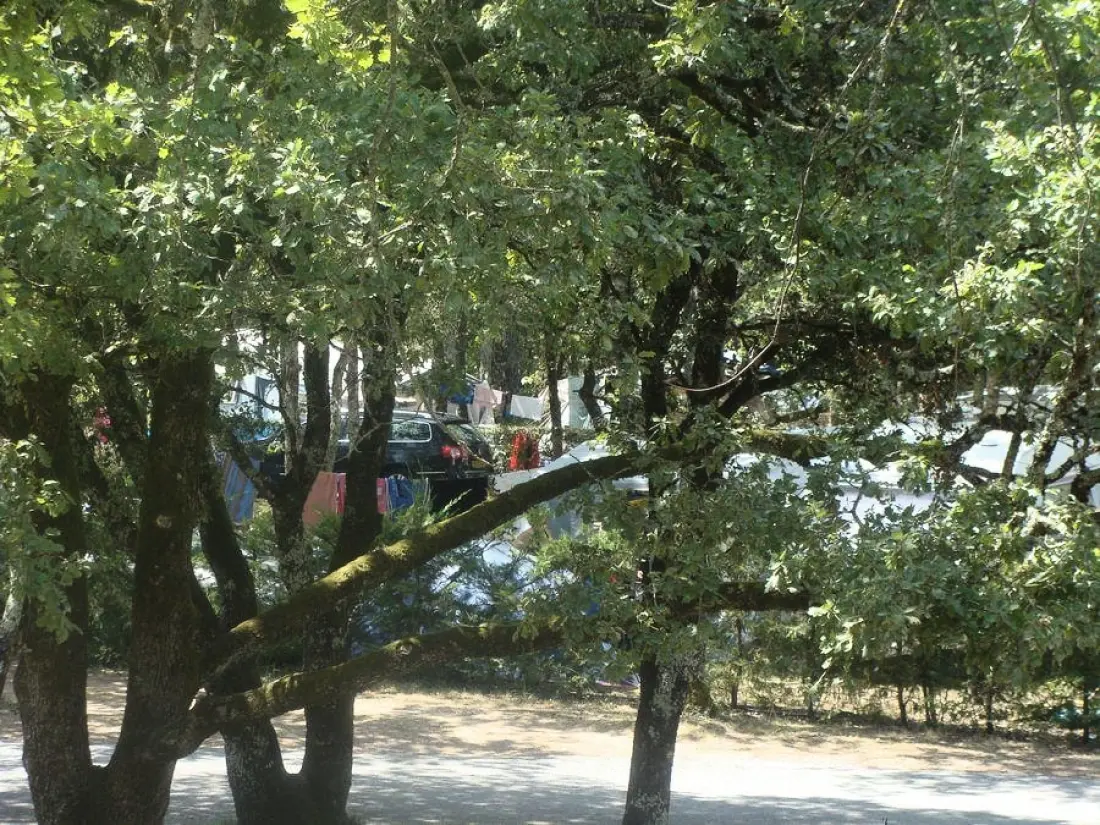 Camping Le Daguet 3 Csillagok★★★