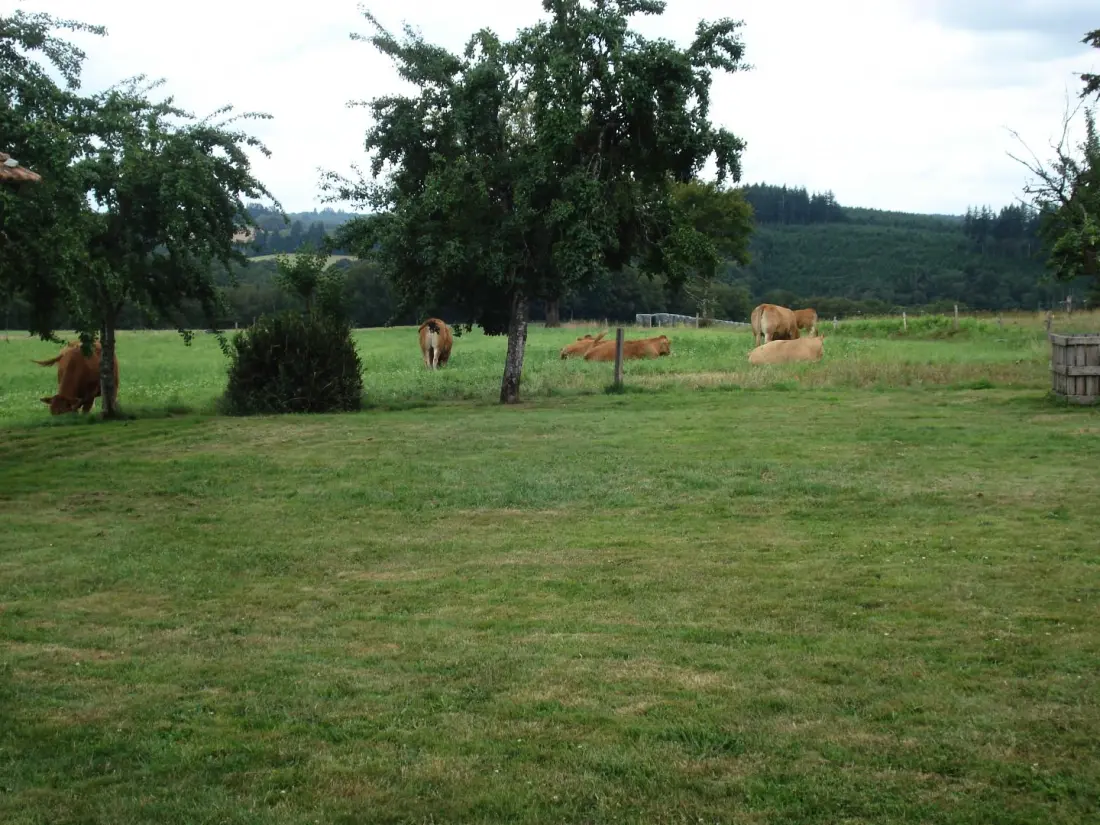 Gîte de France Gîte des roodharigen 3 oren
