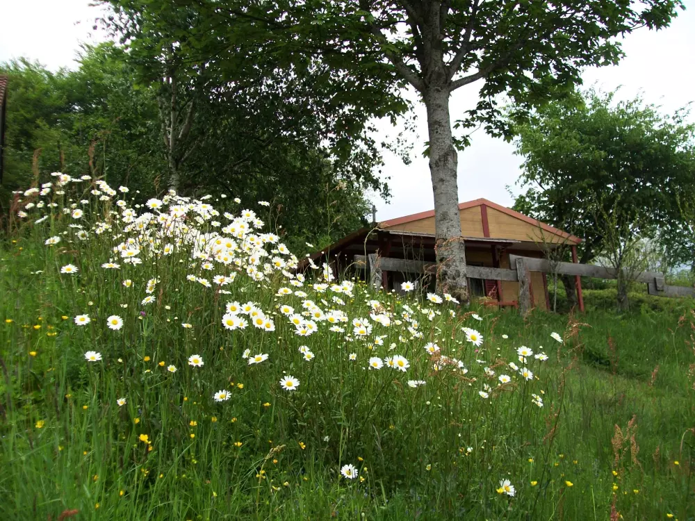 Kemping LA FOUGERAIE 3 Gwiazdy★★★