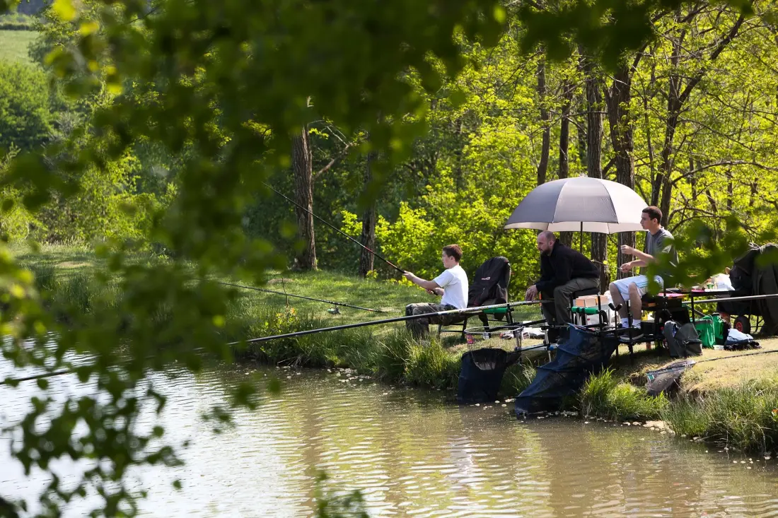 Campingplatz LA FOUGERAIE 3 Sterne★★★
