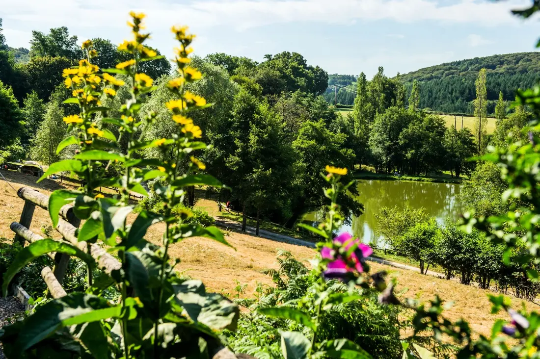 Campingplatz LA FOUGERAIE 3 Sterne★★★