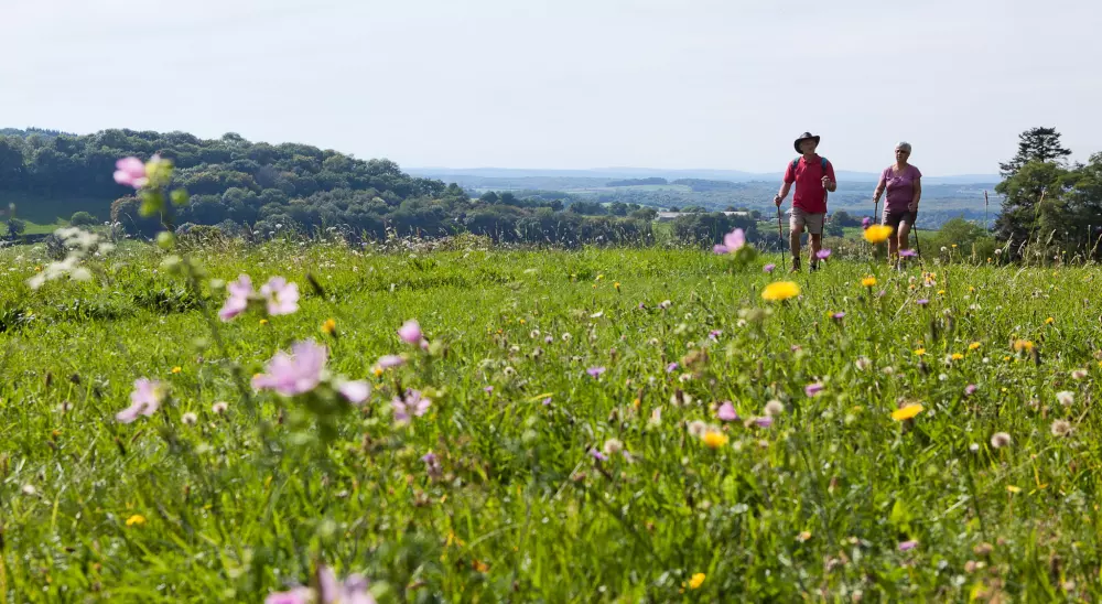 Kemping LA FOUGERAIE 3 Gwiazdy★★★