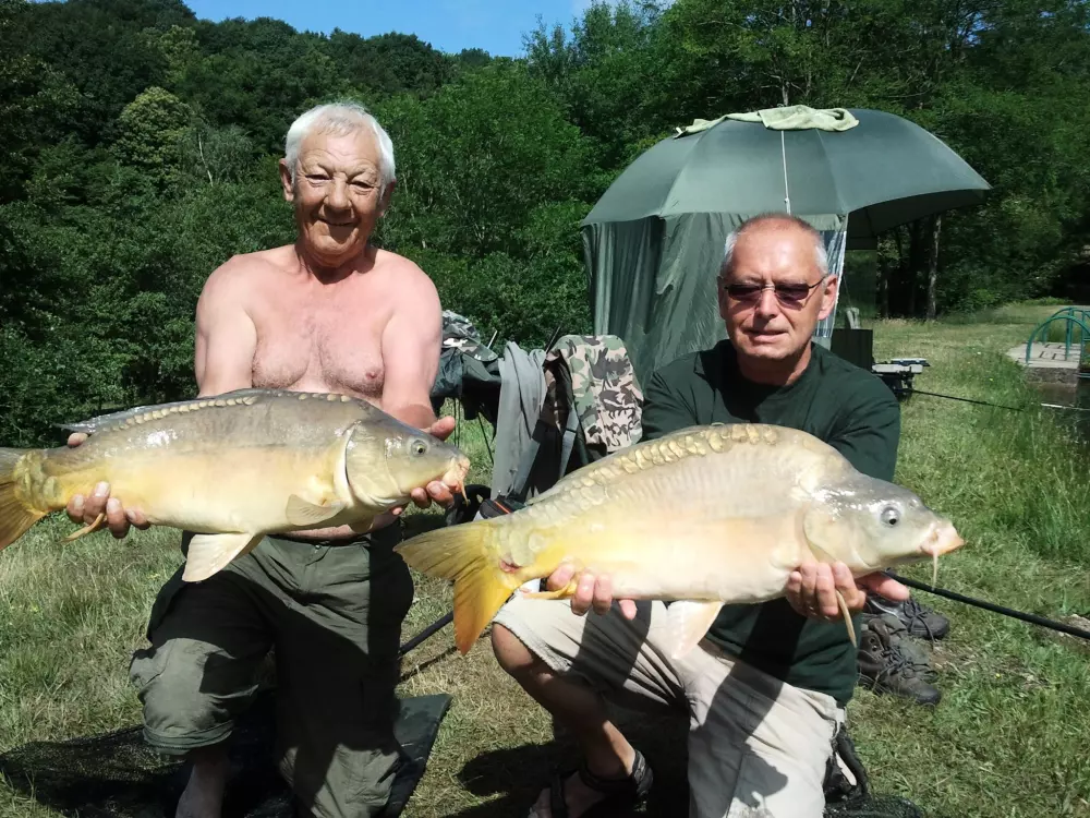 Kemping LA FOUGERAIE 3 Gwiazdy★★★