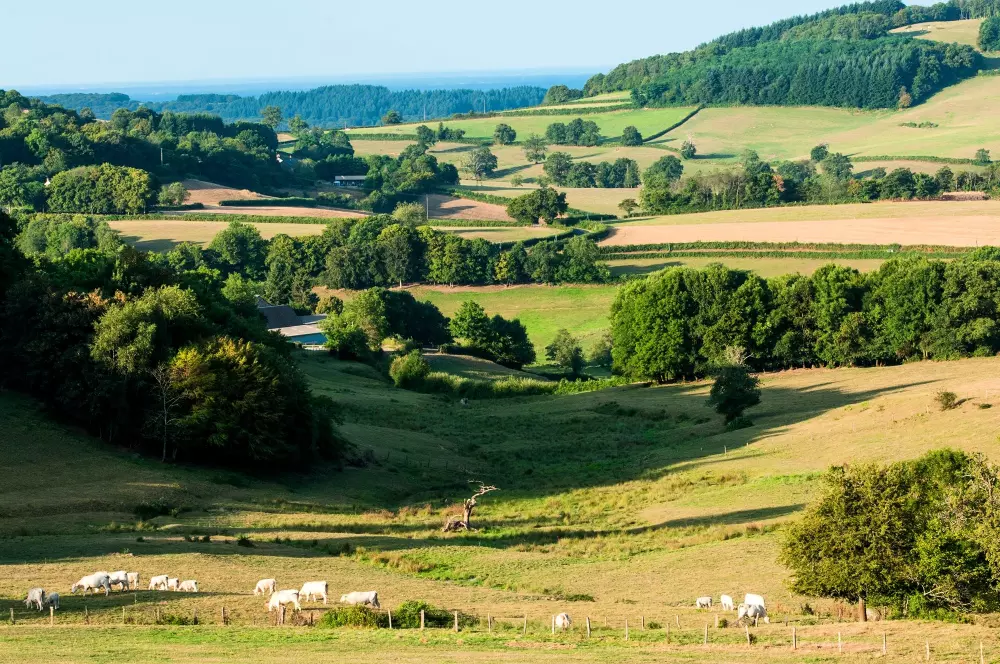 Kemping LA FOUGERAIE 3 Gwiazdy★★★