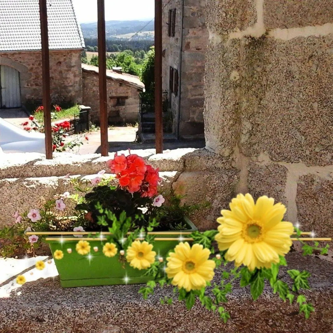 Gîte de France La maison d'alphonse 7/8 Personen 3 Ähren