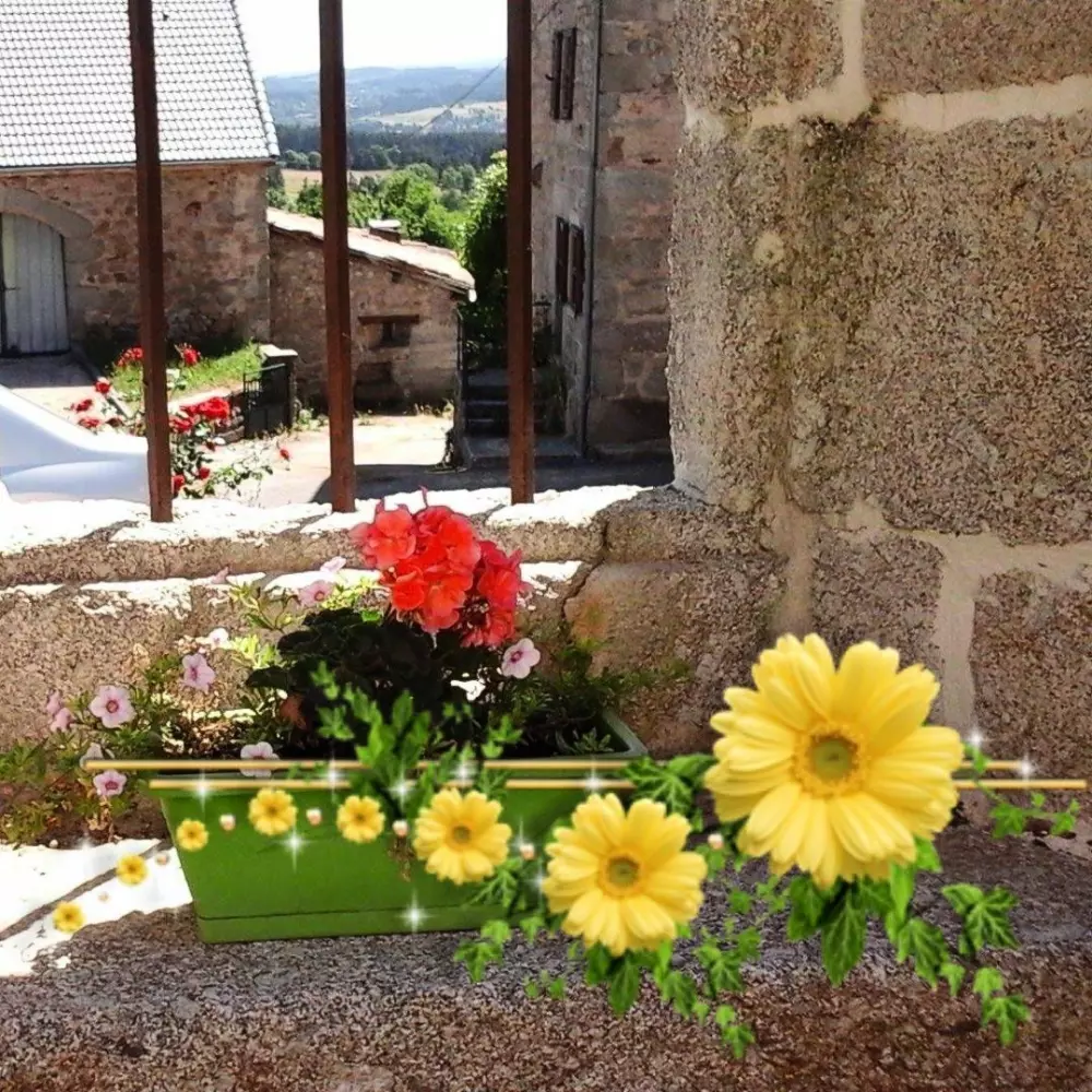Gîte de France La maison d'alphonse 7/8 personnes 3 épis
