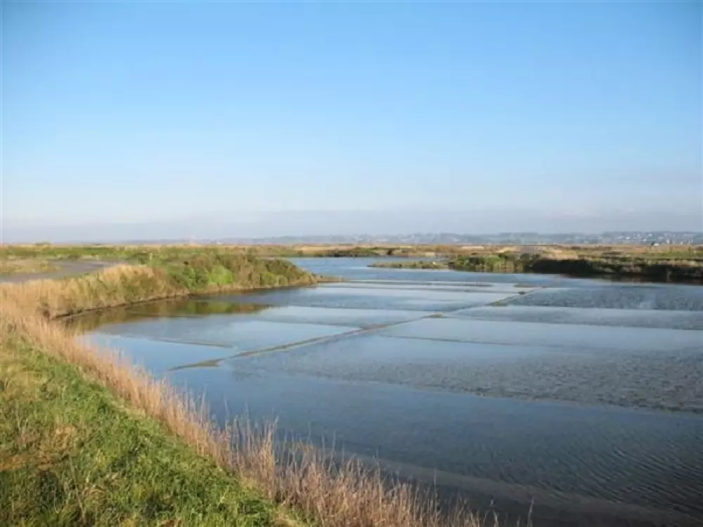 Kemping Fleur de Brière3 Gwiazdy★★★