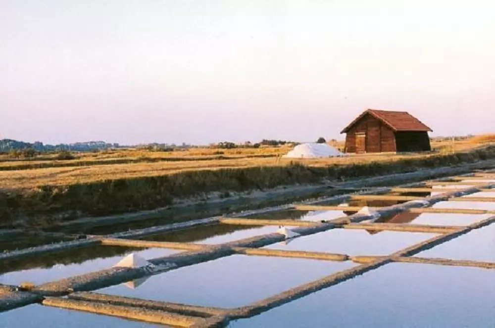 Kemping Fleur de Brière3 Gwiazdy★★★