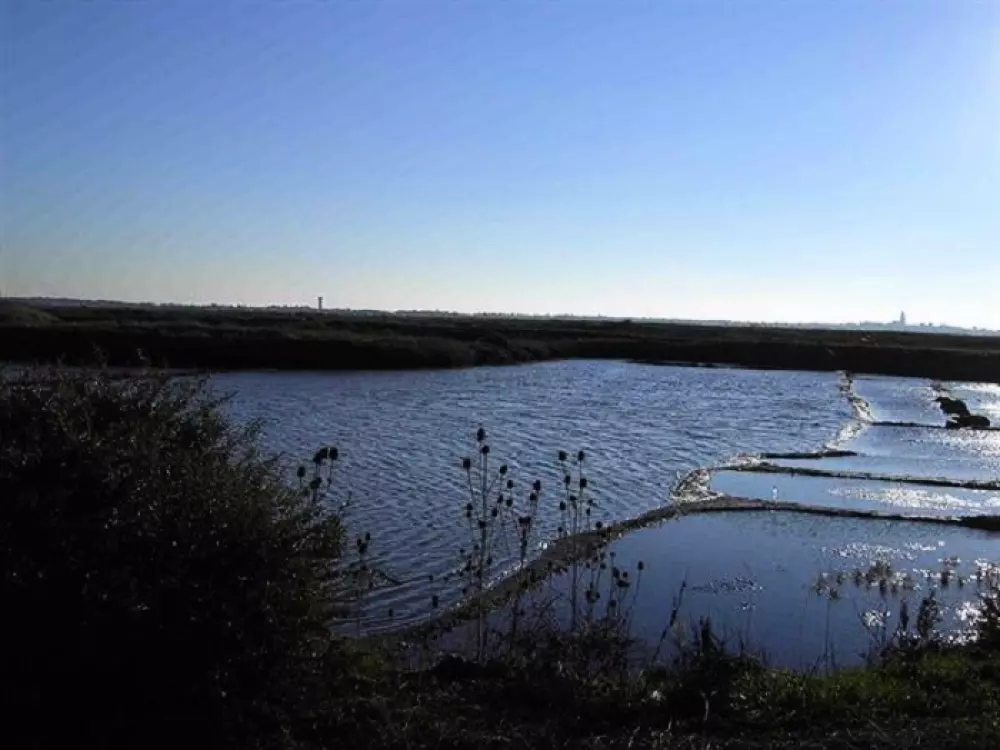 Kemping Fleur de Brière3 Gwiazdy★★★