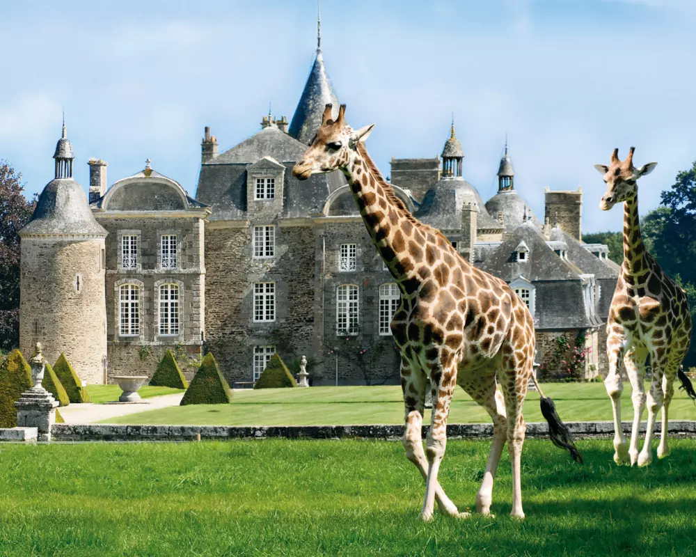 Campsite Domaine de la Ville Huchet 4 Stars★★★★