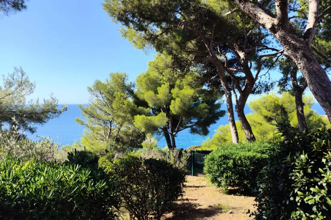 Appartement Vue Mer, Terrasses Et Piscines