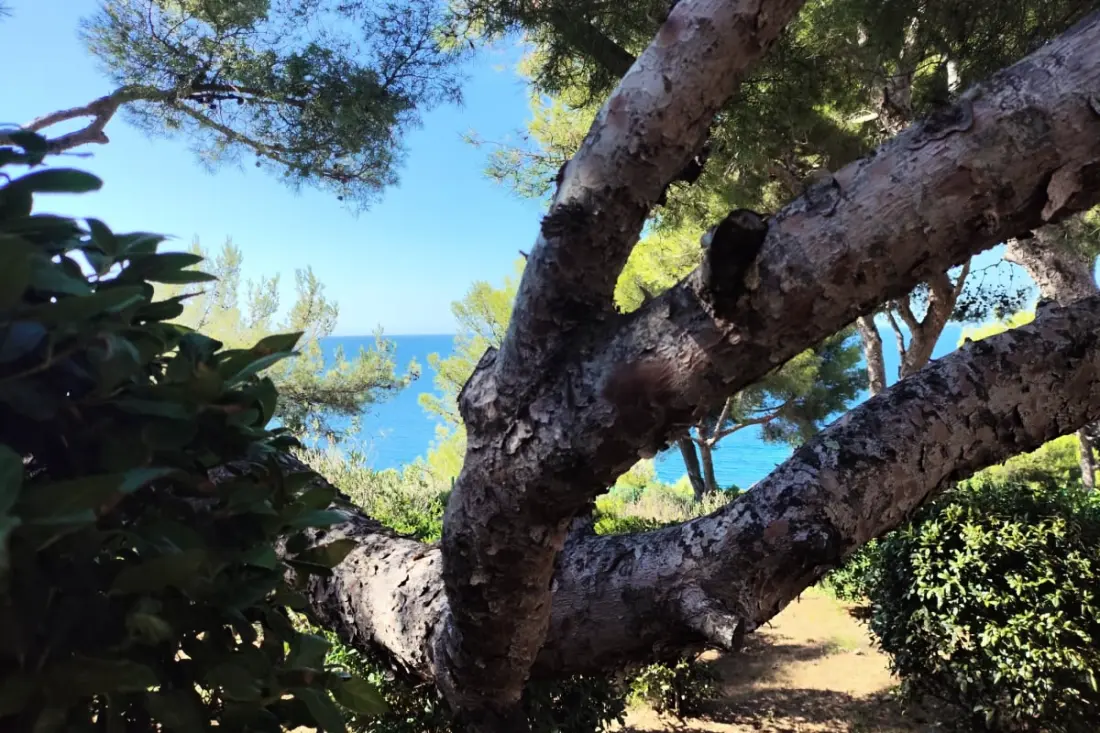 Appartement Vue Mer, Terrasses Et Piscines