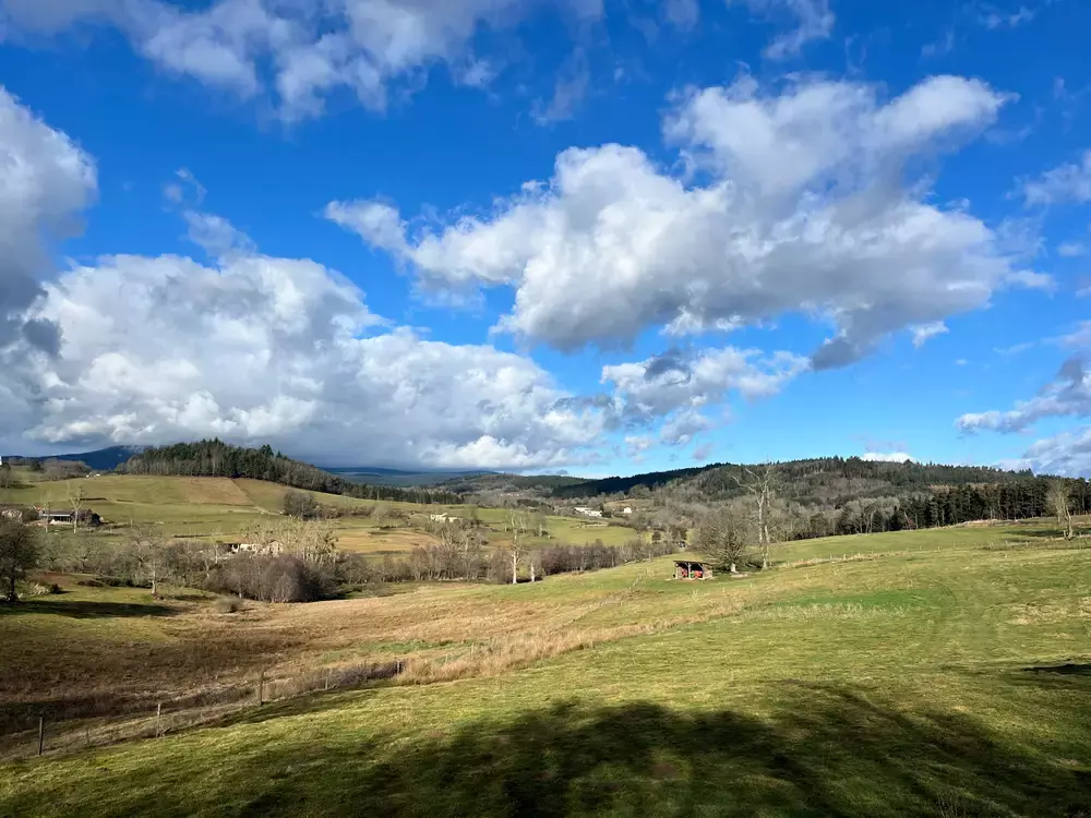 Pea - Parcel Tiny House