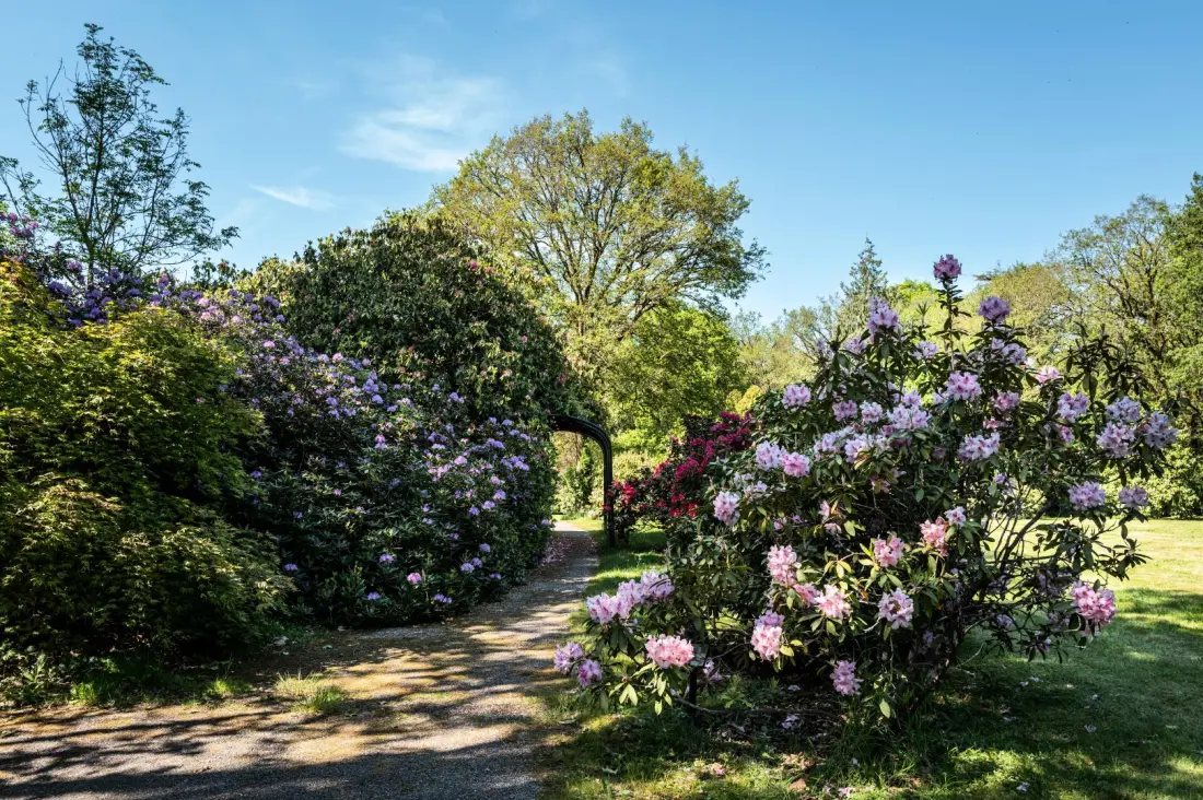 Gîte de France Domaine de Lafayette – Wellness- und Entspannungsaufenthalte rund um die Uhr