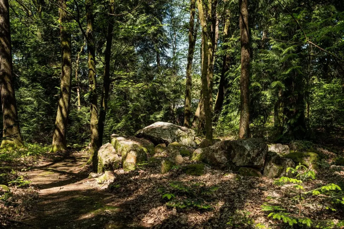 Gîte de France Domaine de Lafayette – Wellness- und Entspannungsaufenthalte rund um die Uhr