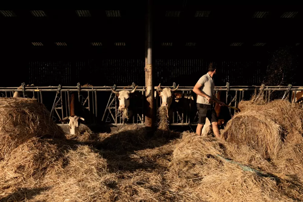 Saint Colombe - Parcel Tiny House