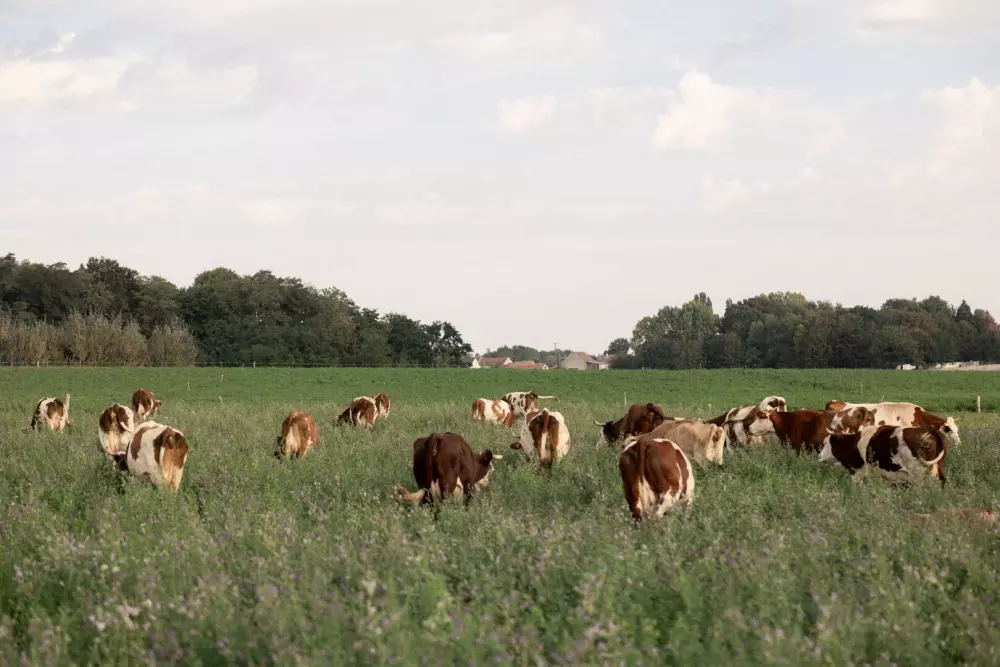 Saint Colombe - Parcel Tiny House