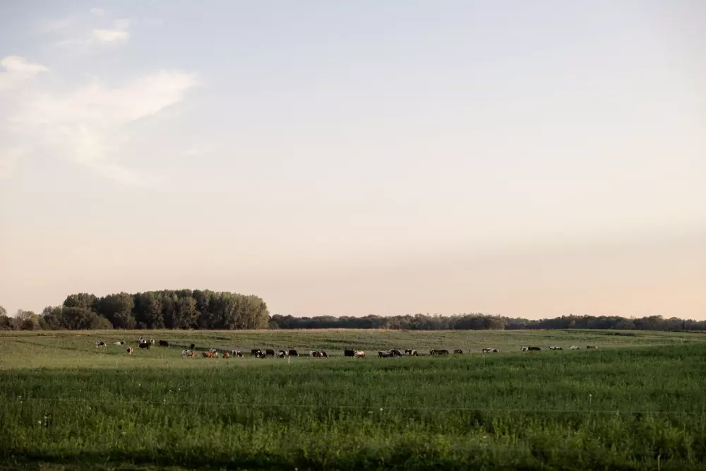 Saint Colombe - Parcel Tiny House