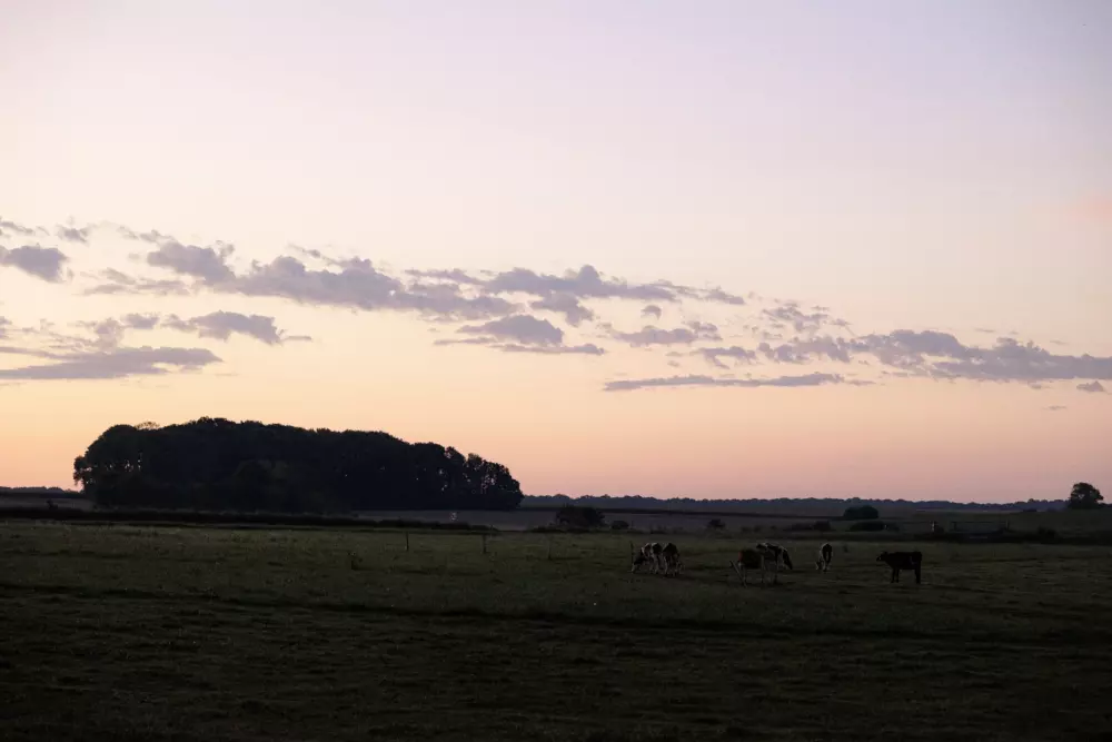 Saint Colombe - Parcel Tiny House