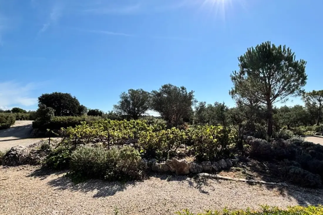 Villa Campo Verde – Luxus, Természet és Relaxáció Provence