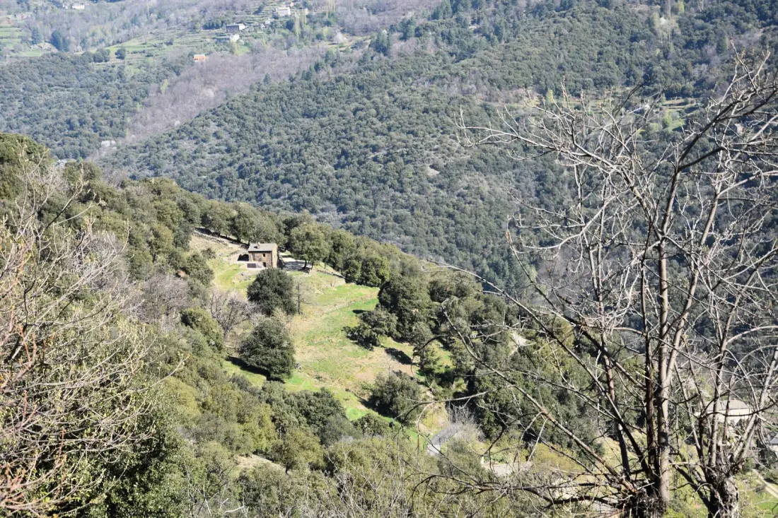 Gîte de France Der 3-Ähren-Weinberg