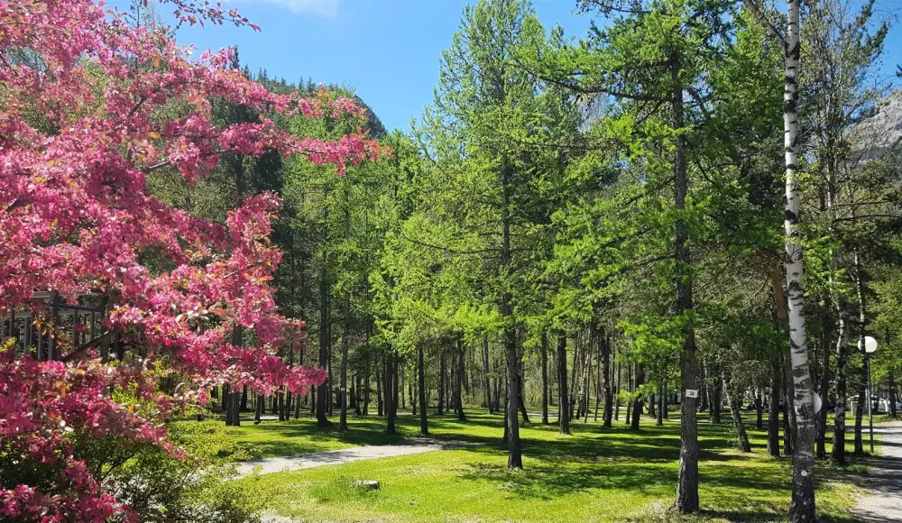 Camping-Caravaneige l'Iscle de Prelles 3 Stars★★★