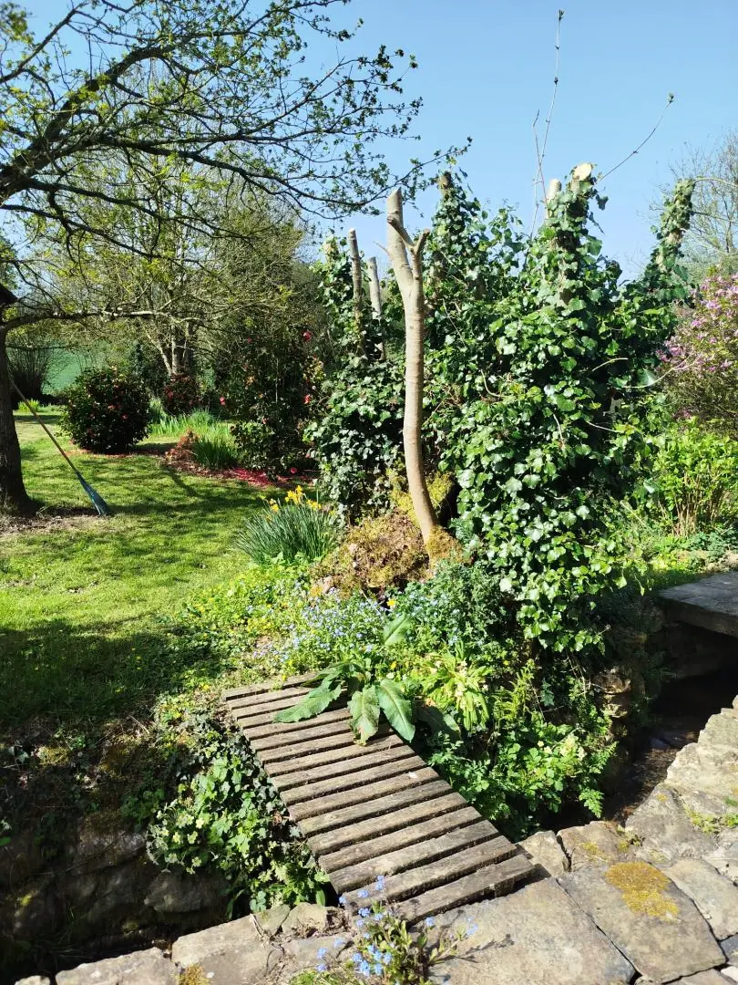 Gîte de France La bergeronnette des ruisseaux 2 épis