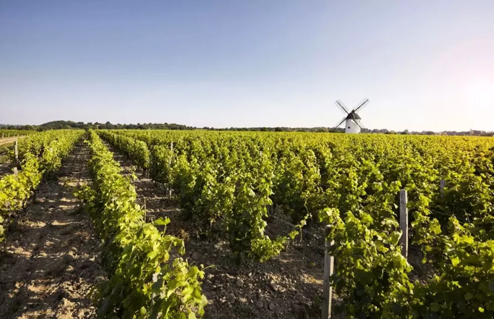 Naurist Holiday Center Colombiar - Nie.