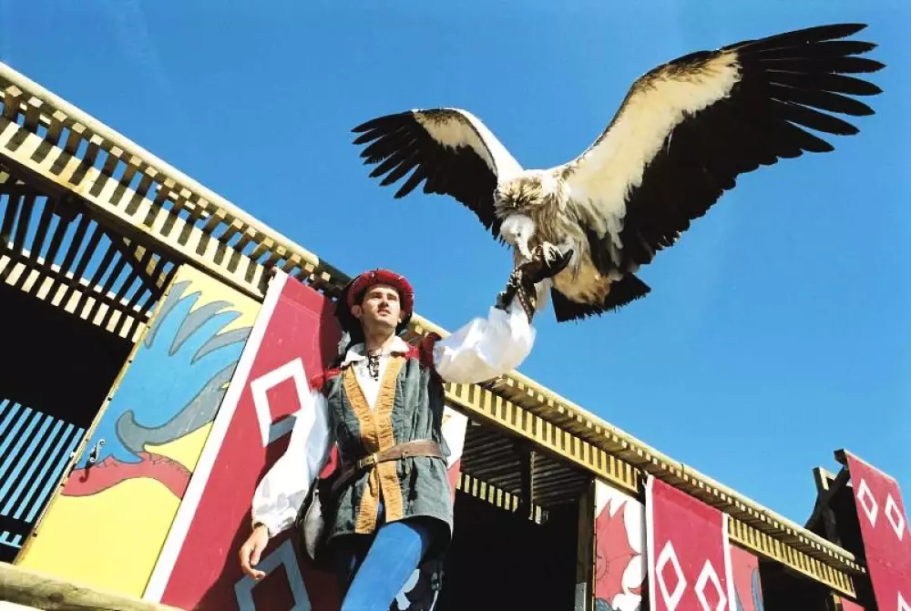 Naurist Holiday Center Colombiar - Nie.