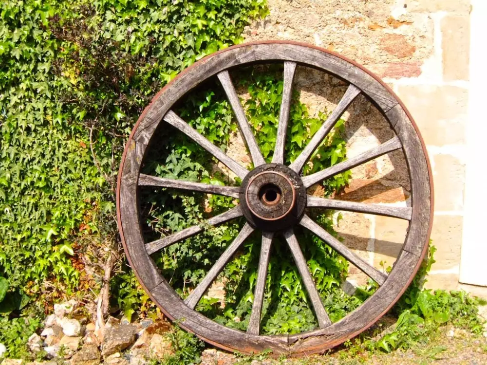 Naurist Holiday Center Colombiar - Nie.