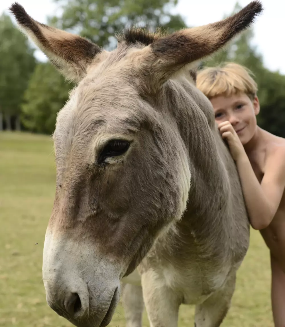 Naurist Holiday Center Colombiar - Nie.