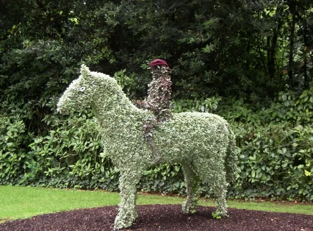 Naurist Holiday Center Colombiar - Nie.