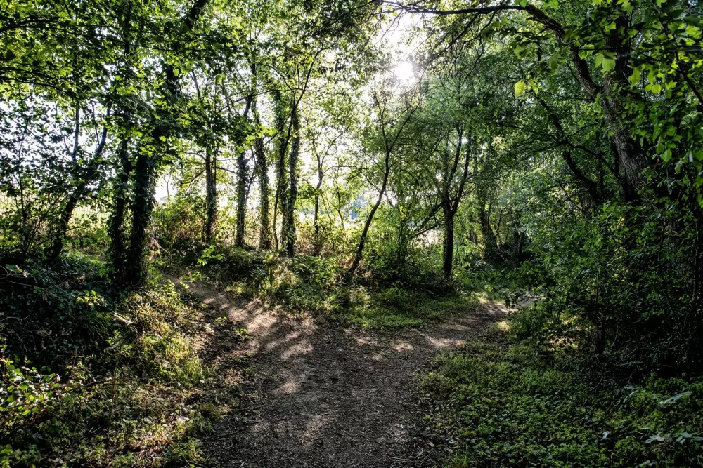 Naurist Holiday Center Colombiar - Nie.