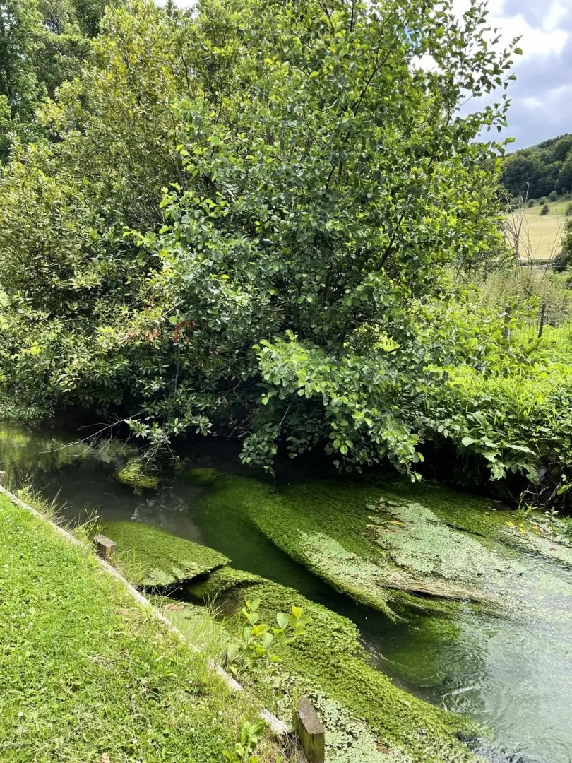 Gîte de France Gîtes de france® - a mill 3 fül