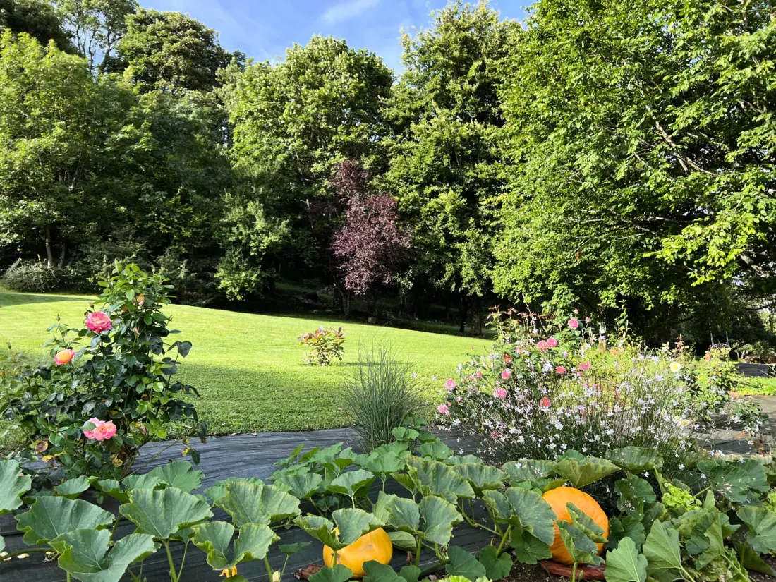 Gîte de France Die Bögen des Sees 4 Ohren