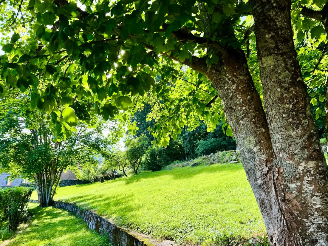 Gîte de France Die Bögen des Sees 4 Ohren