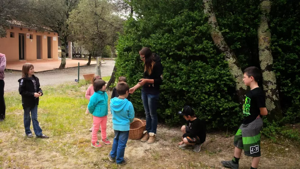 Camping Le Sous- Bois Ardèche 3 Gwiazdy★★★ 3 Gwiazdy★★★ 3 Gwiazdy★★★