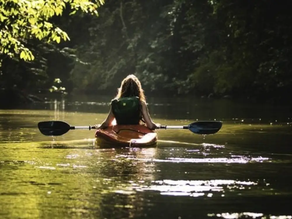 Camping Le Sous Bois 4 Sterren★★★★